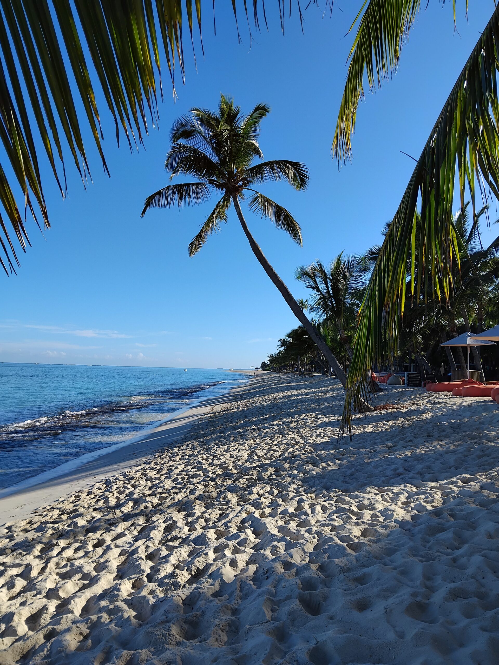 Guide île Maurice : budget, logement, transport, météo.