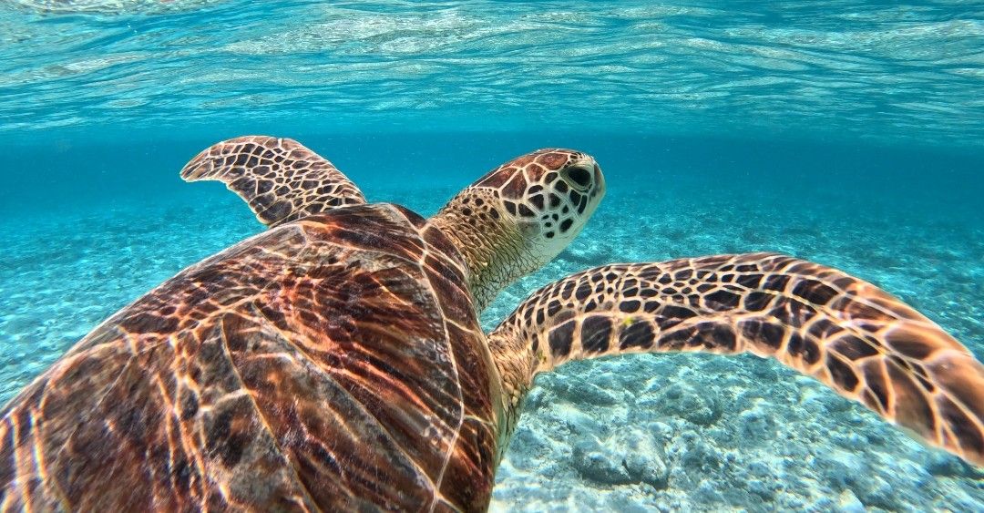 Lombok seule : itinéraire 1 mois, conseils et coups de cœur